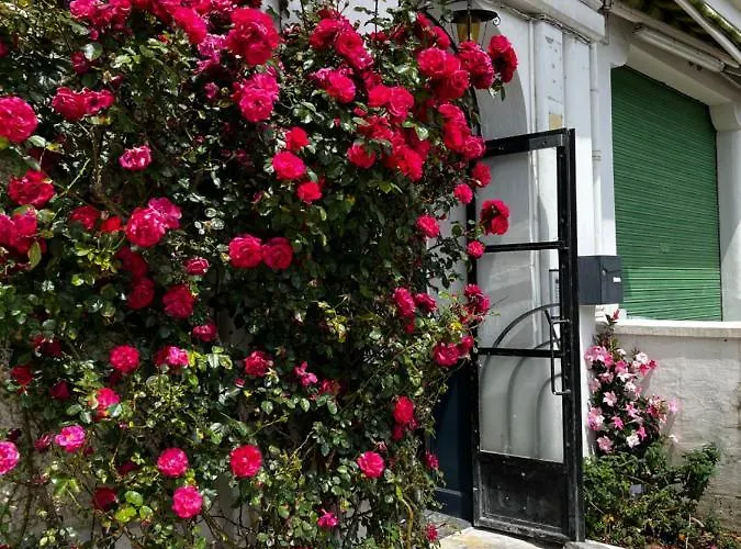 Apartamento T2 Bis Proche Gare Et Centre - Parking Proche *